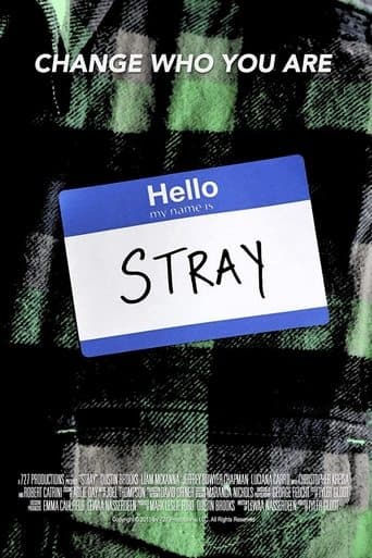 Movie poster for Stray