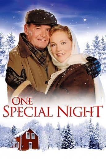 Movie poster for One Special Night