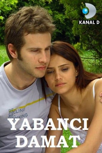 Movie poster for Borders of Love