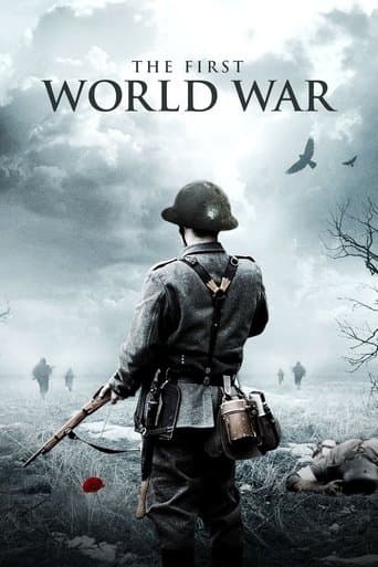Movie poster for The First World War