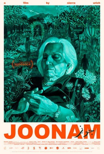 Movie poster for Joonam