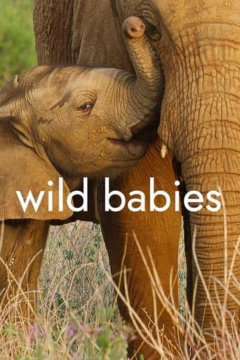 Movie poster for Wild Babies