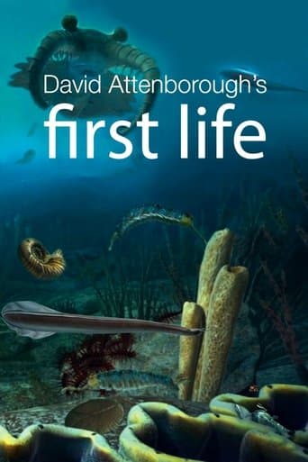 Movie poster for First Life