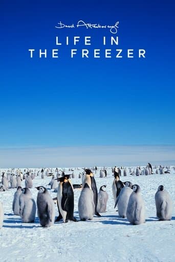 Movie poster for Life in the Freezer