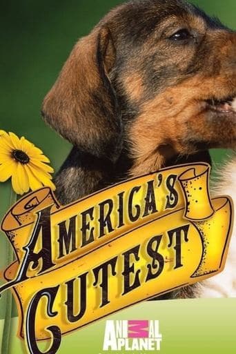 Movie poster for America's Cutest