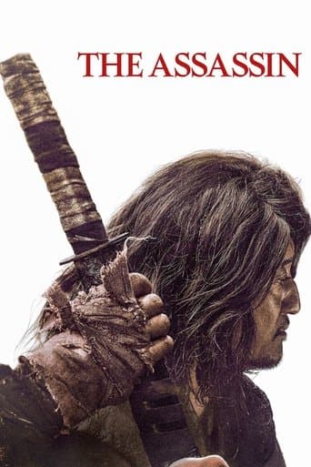 Movie poster for The Assassin