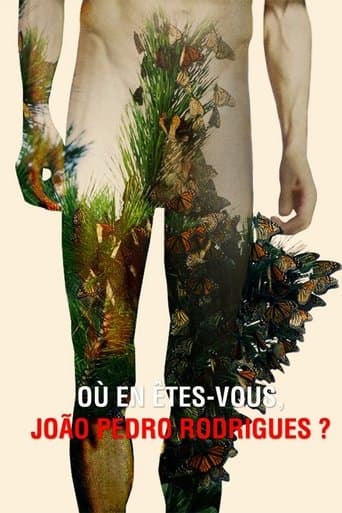 Movie poster for Where Do You Stand Now, João Pedro Rodrigues?