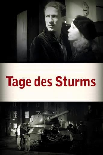 Movie poster for Tage des Sturms