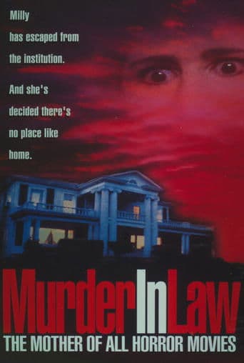 Movie poster for Murder in Law