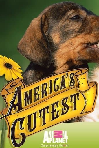 Movie poster for America's Cutest Puppies