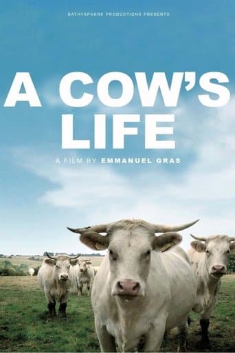 Movie poster for Bovines