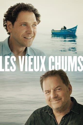 Movie poster for Old Buddies