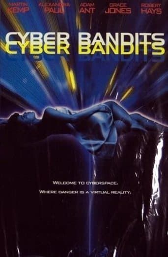 Movie poster for Cyber Bandits