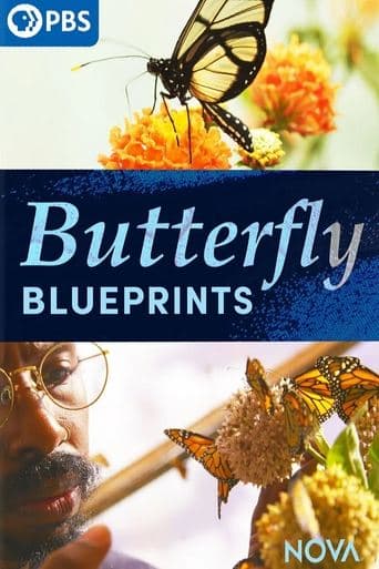 Movie poster for Butterfly Blueprints