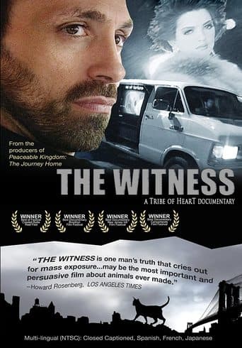 Movie poster for The Witness
