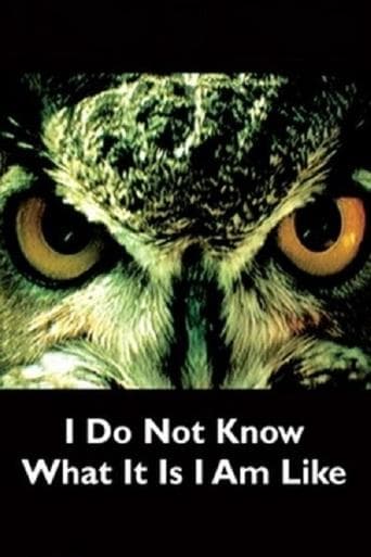 Movie poster for I Do Not Know What It Is I Am Like