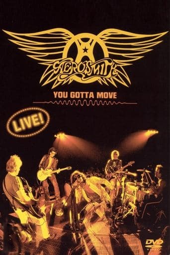 Movie poster for Aerosmith - You Gotta Move
