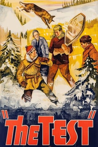 Movie poster for The Test