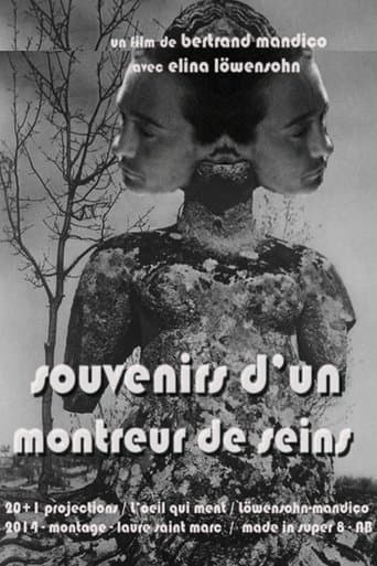 Movie poster for Memories of boobs flasher