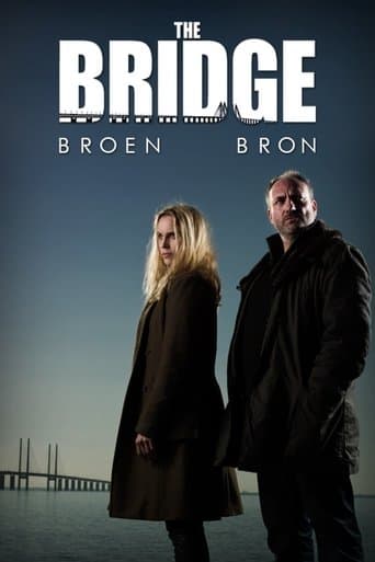Movie poster for The Bridge