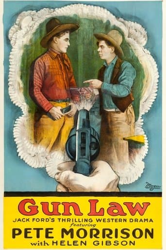 Movie poster for Gun Law
