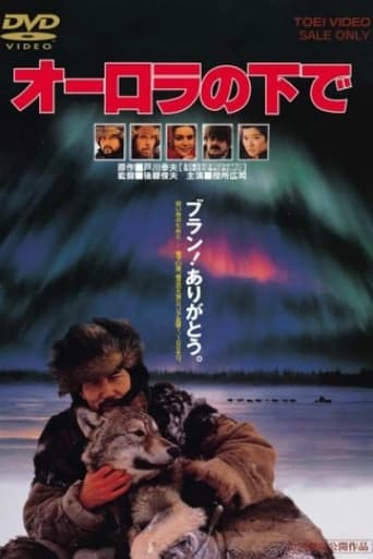 Movie poster for Aurora Borealis