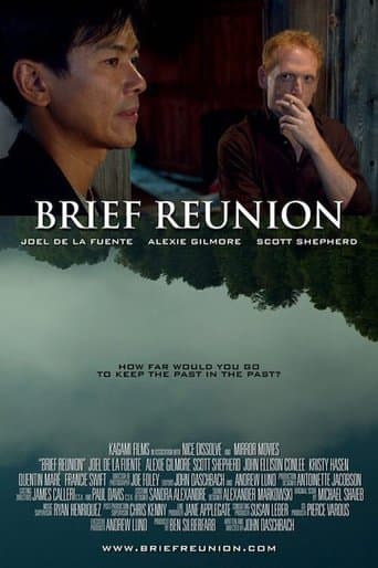 Movie poster for Brief Reunion