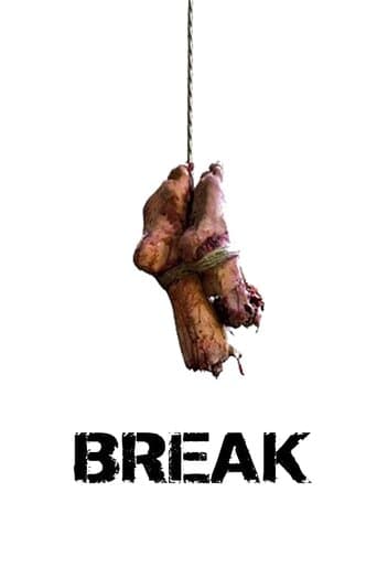 Movie poster for Break