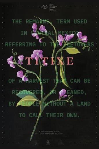 Movie poster for Titixe