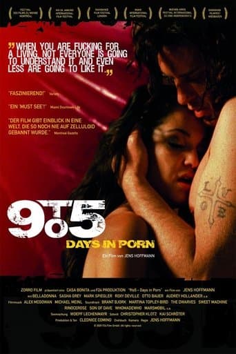 Movie poster for 9to5: Days in Porn