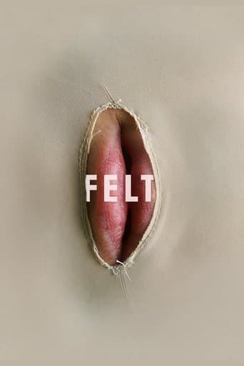 Movie poster for Felt
