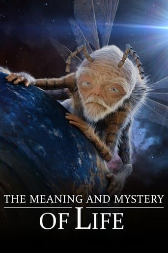 Movie poster for The Meaning and Mystery of Life