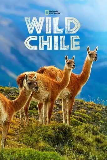 Movie poster for Wild Chile
