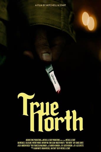 Movie poster for True North