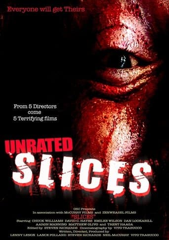 Movie poster for Slices