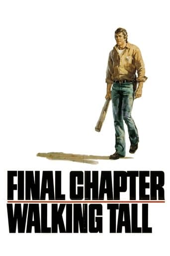 Movie poster for Final Chapter: Walking Tall