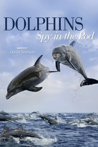 Movie poster for Dolphins: Spy in the Pod
