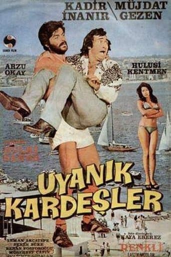 Movie poster for Uyanık Kardeşler