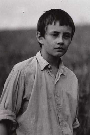 Movie poster for Country