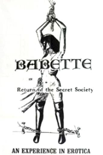 Movie poster for Return of the Secret Society