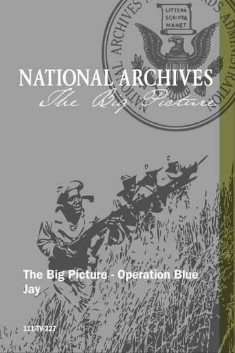 Movie poster for Operation Blue Jay