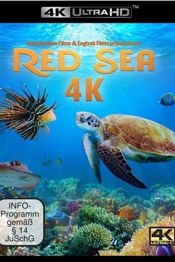 Movie poster for Red Sea