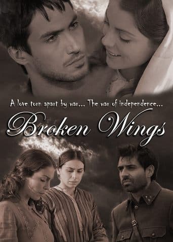 Movie poster for Kırık Kanatlar