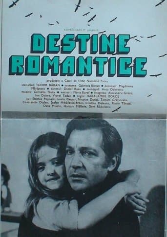 Movie poster for Romantic Destinies