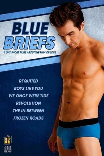 Movie poster for Blue Briefs