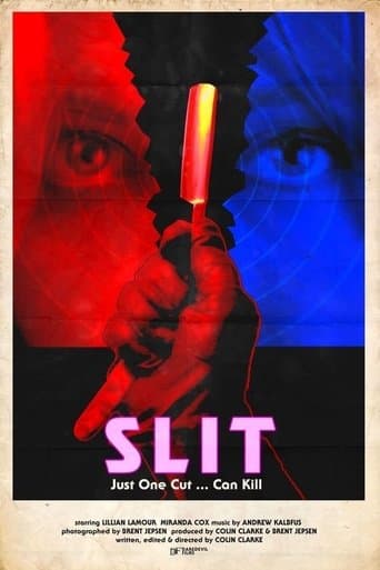 Movie poster for Slit