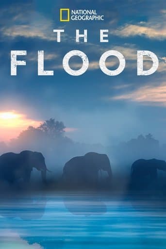 Movie poster for The Flood