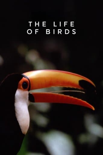 Movie poster for The Life of Birds