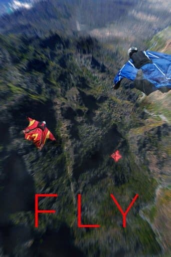 Movie poster for Fly