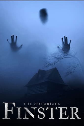 Movie poster for The Notorious Finster